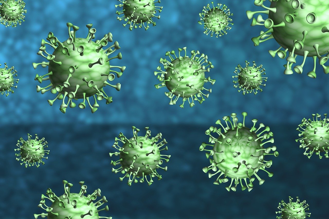 Coronavirus, Imagine de Thiago Lazarino de la Pixabay